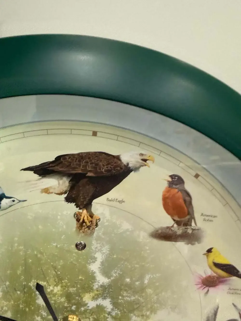 Singing Bird Clock 13” Wall Hanging w/ 12 Hourly Songs & Light Sensor Mute